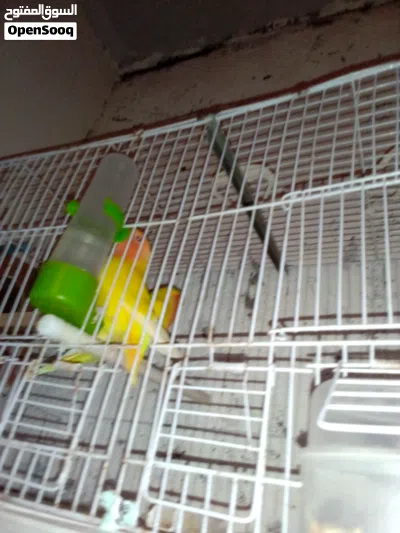 undefined 3