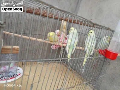 undefined 2
