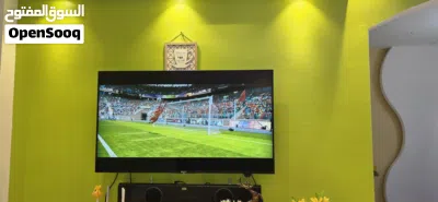 Sorry Bravia 3