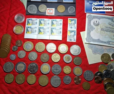 بسعر مغري الكوم عرض واحد فقط عدد 160قطعه ب50دينار فقط اربد 3