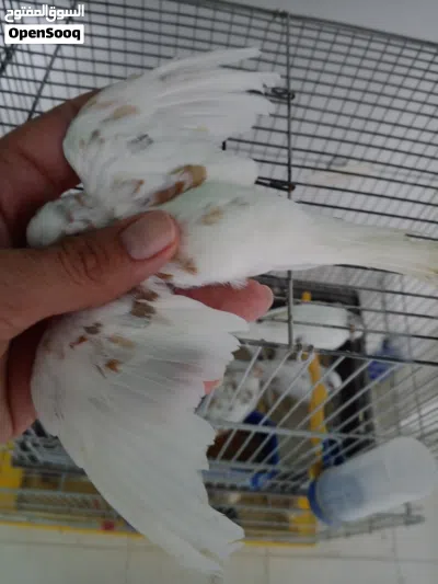 undefined 2