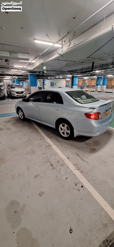 Toyota Corolla XLI 3