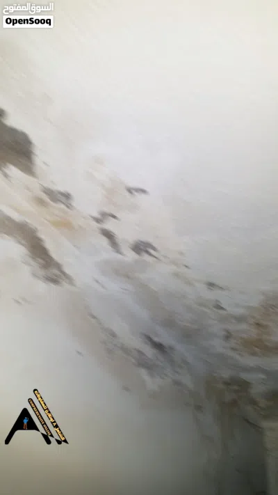 ضرب جميع أنواع الدهانات وترميم جميع انواع مشاكل الدهانت شروخ تساقط رطوبه الدهانات للاسقف والجدران 3