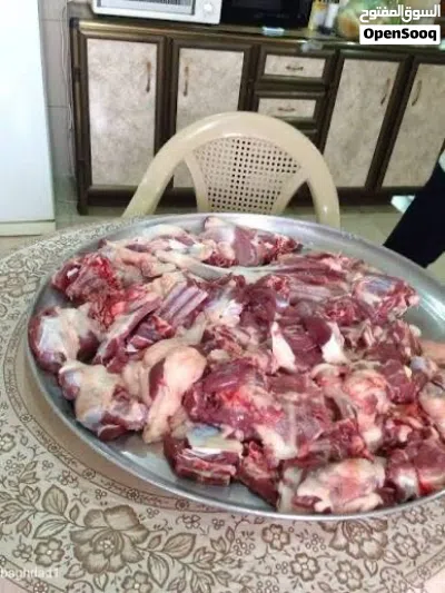 بسم الله كل عام وانتم بخير جزار اضاحي 2