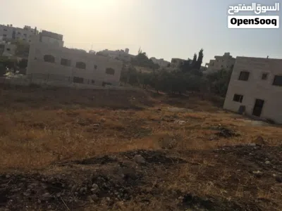 قطعة ارض على طريق المطار خلف المدارس العالمية 2