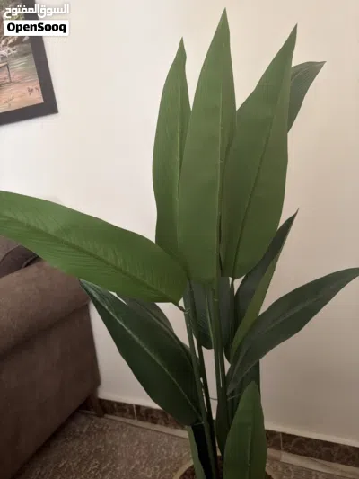 ورق اصطناعي للديكور جديد للبيع 2