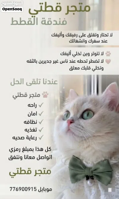 متوفر قطط صغيره وكبيره مع كل مستلزماتهم 2