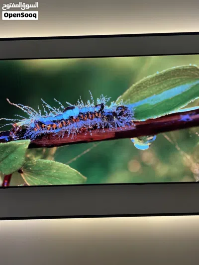 عش تجربة سينمائية مع هايسنس OLED 2