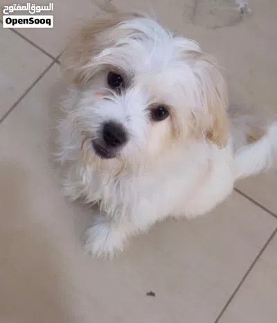 البيع وسعر مميز 2