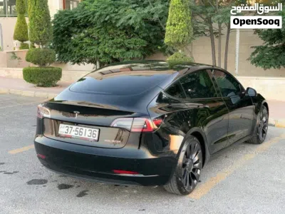 Tesla Model 3 Performance 2