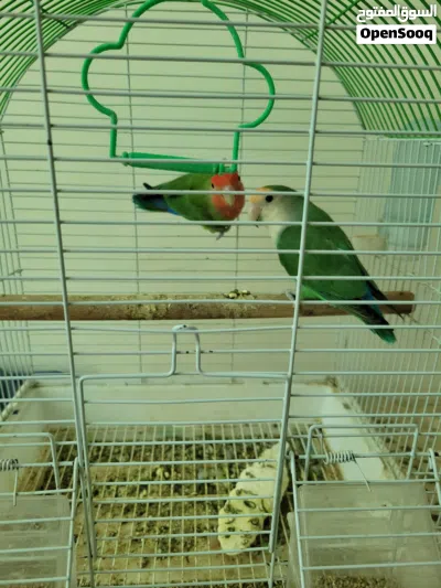 undefined 4