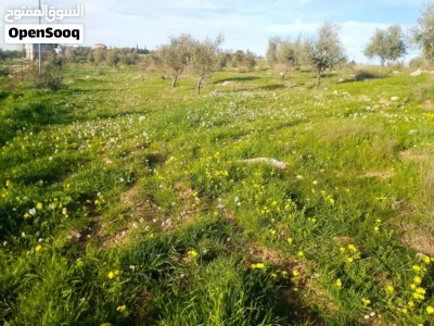undefined 3
