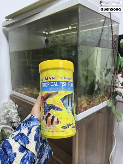 Fish Aquarium 3