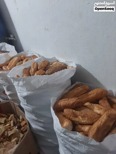 خبزة اربع شكاير ومعاهم صندوق خبزة خضرة 2