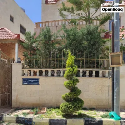 خدمة تنسيق حدائق .احمد هاني 3
