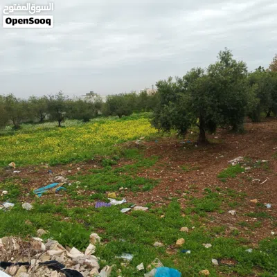 قطعة أرض في بشرى 4
