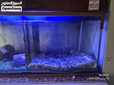 حوض سمك فلتر بايولجي علوي حجم كبير متر وثلاثين سانتي 1.30cm 3