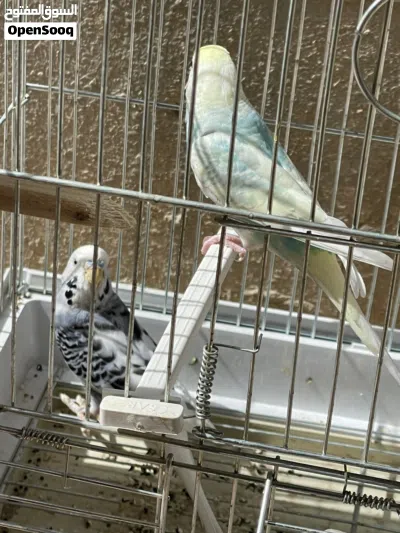 undefined 2