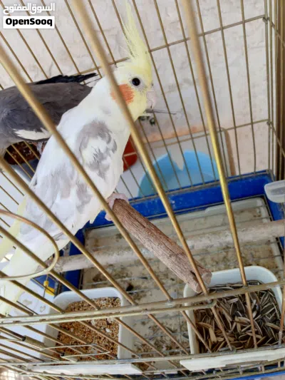 undefined 3
