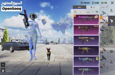 حساب ببجي للبيع 2
