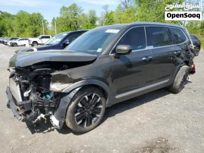 Kia Telluride SX Prestige X-Pro 4