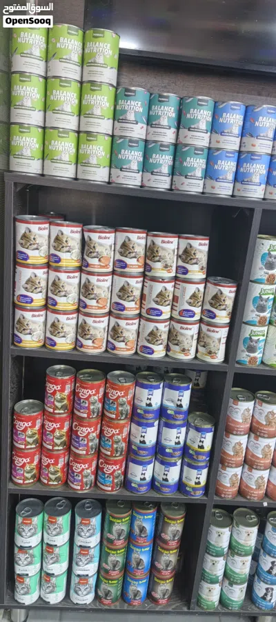 wet food طعام للقطط 2