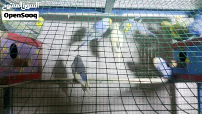 undefined 3