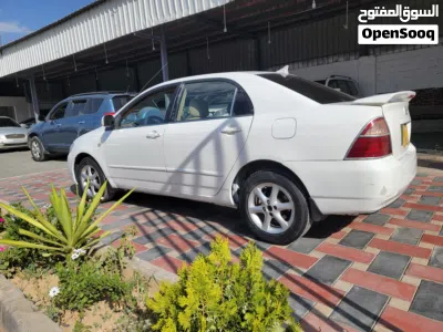 Toyota Corolla XLI 3
