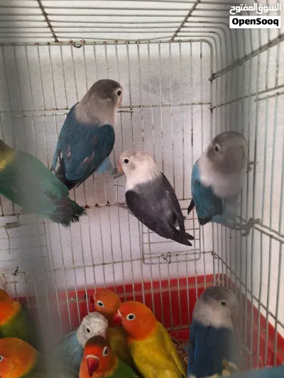 undefined 2