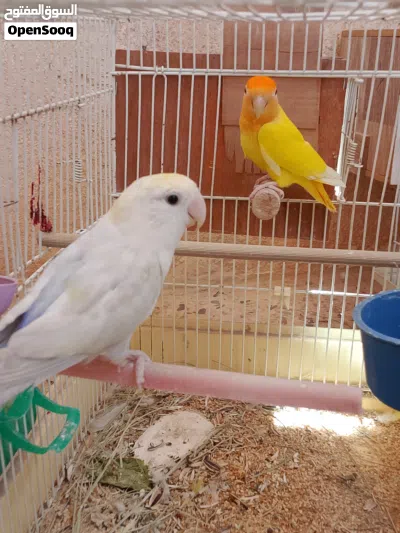 undefined 4