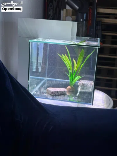 fluval edge 23 litre fish tank 3