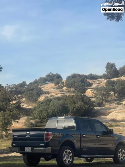 Ford F-150 Titanium 4