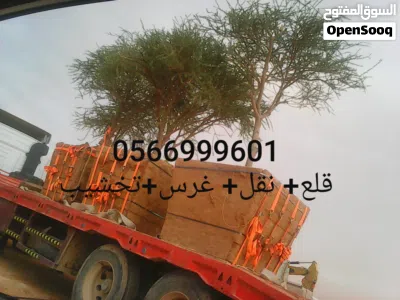 قلع الاشجار البرية وزيتون واعمال النخيل 4