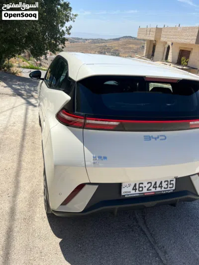 بي واي دي سيجول 2