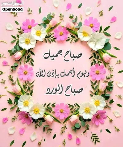شقه للإيجار الهاشمي الشمالي نايفه 2