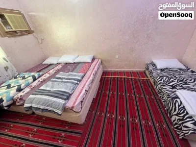 شقة صغيرة للايجار اليومي ف الخضراء الجديدة 4