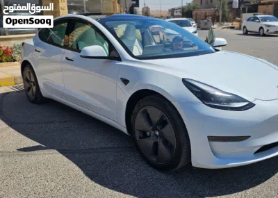 Tesla Model 3 Standard Plus 2