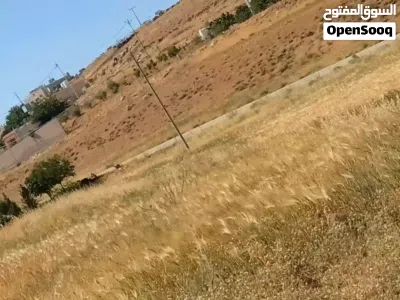 ارض للبيع الشوبك بير خداد 4