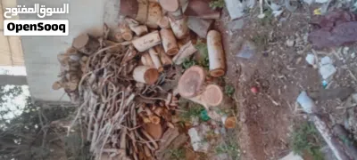 خشب وقرامي 4