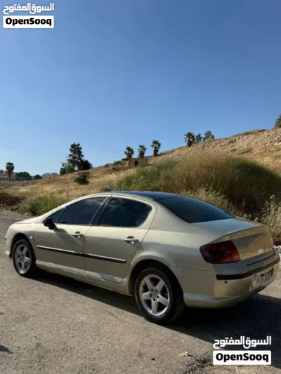 Peugeot 307 Standard 4