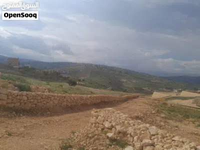ارض مميزه للبيع كاش او اقساط 3