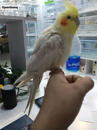 undefined 2