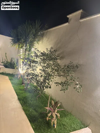 استراحة اجار يومـي 3