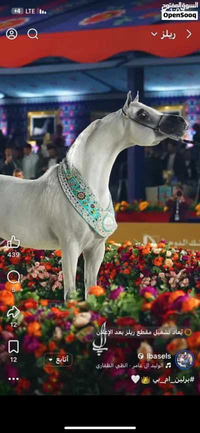 شركة توصيل للبيع بسيارتها بسواقينها بعقدها ومازالت تعمل بالعقد الحالي 2