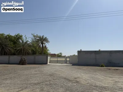 زراعية الرميس 2
