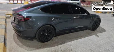 Tesla Model 3 Standard Plus 3