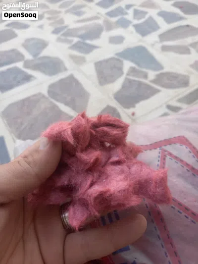 طينة يابانية 4