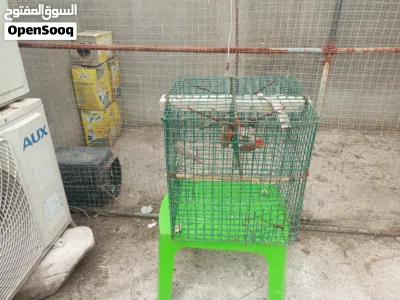 undefined 2