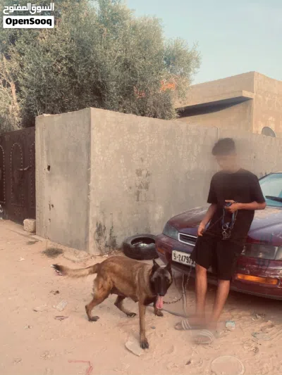 انتايه مينوا البيع تحتها جروي البيع حت هنا 3