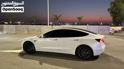 Tesla Model 3 Standard 4